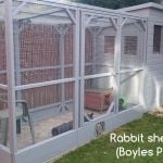 rabbit housing - boyles pet housing avairy raw