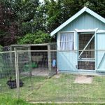 rabbit housing - Ruth 2