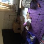 Rabbit housing - c&c pen