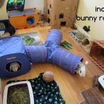 rabbit housing - ava (2) raw